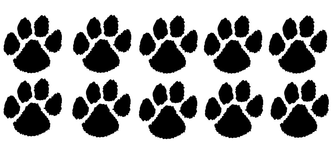 Decalarama Black Car Stickers Dog Paw Prints Novelty Kitchen Bathroom Bedroom Door Decals X10