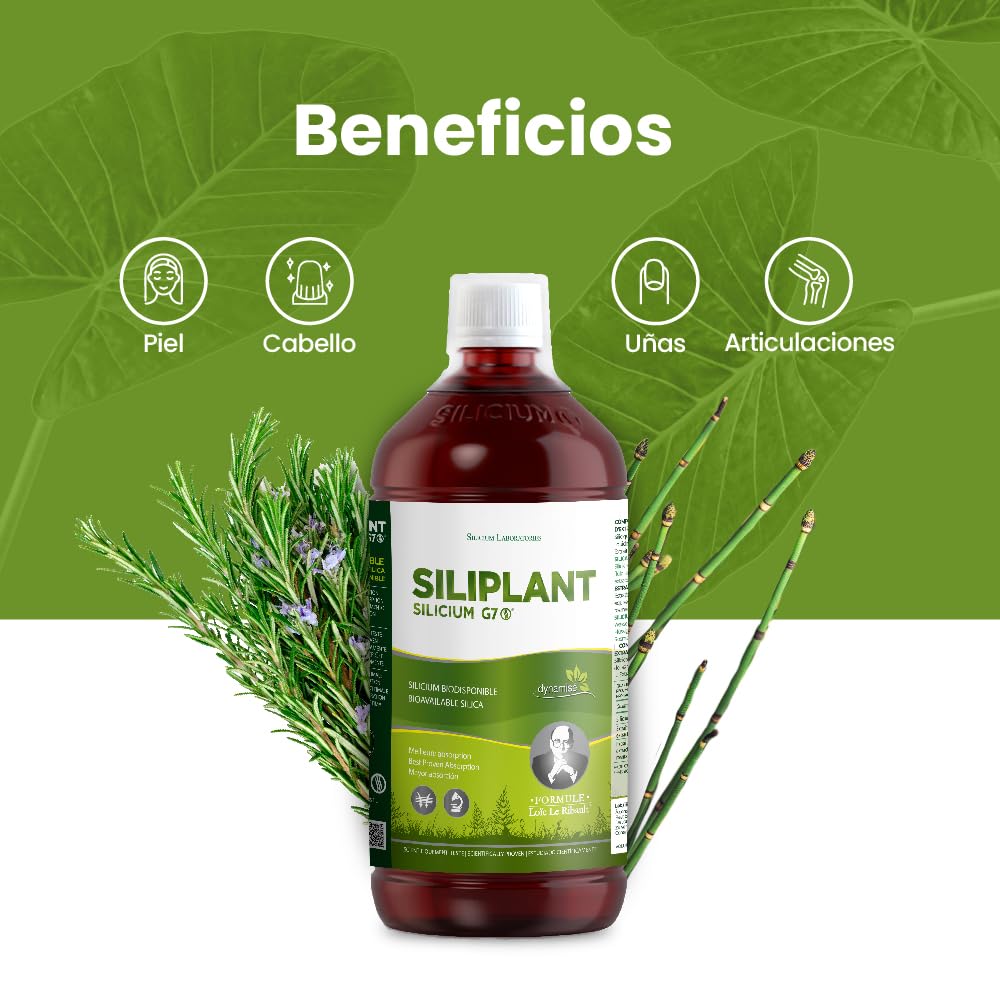 G7 Siliplant Silicio Líquido Bebible. Suplemento Natural de Cola de Caballo para Articulaciones Piel Uñas Pelo y Huesos Alta Absorción.