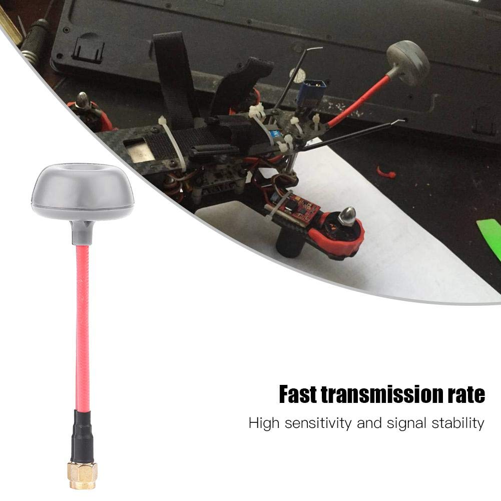 Antenne TX / RX, 2 Types 5.8G RHCP Antenne TX / RX en Forme de Champignon Accessoire pour Drone RC ( mâle RP-SMA)Accessoires pour modèles réduits d'avions