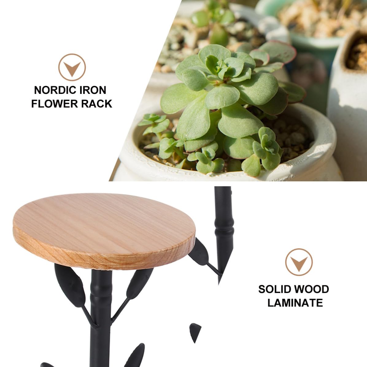 Espositore per Piante in Ferro e Legno Nero, Decorativo
