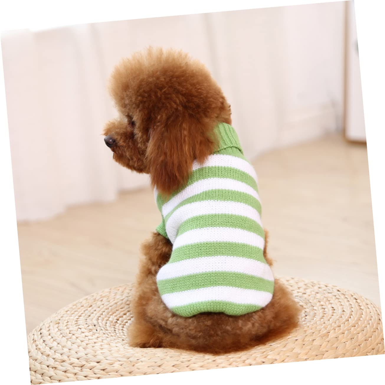 BESPORTBLE 3 Pezzi Di Vestiti Per Animali Domestici Maglione Per Cani Maglione Per Animali Domestici Costume Da Festa Per Animali Vestiti Per Cani Da Festa Panno Per Cani Vestiti Da Festa