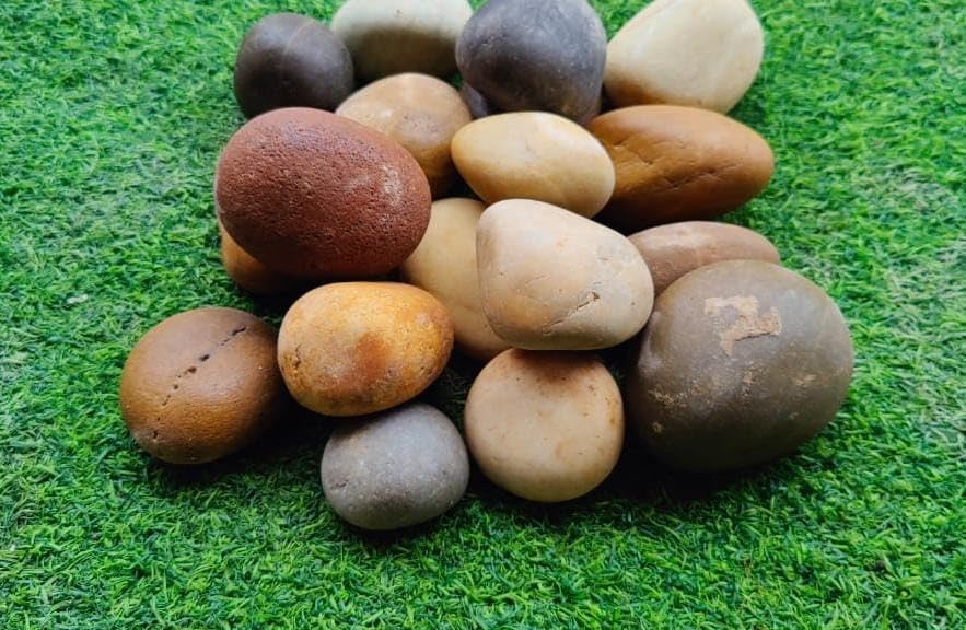 KASHLIWAL Stone SUPPLIERS 1kg Mix River Pebbles Natural Stone Pebbles - Ideal for Landscaping and Home Décor/Garden/Lawn/Home Decoration/Aquarium & Fountain Decoration/Fish Tank (1 Kg Pack) (B0DF2XHTM9) Amazon Price History, Amazon Price Tracker