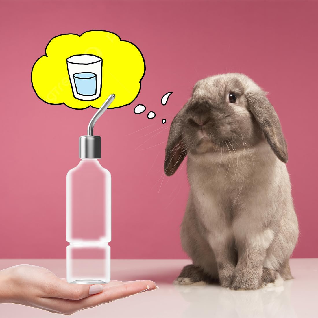 2 Beverini Per Conigli - Dispenser Acqua A Gravità, 180ML E 350ML, In Plastica E Acciaio, Facili Da Pulire - Foto 4