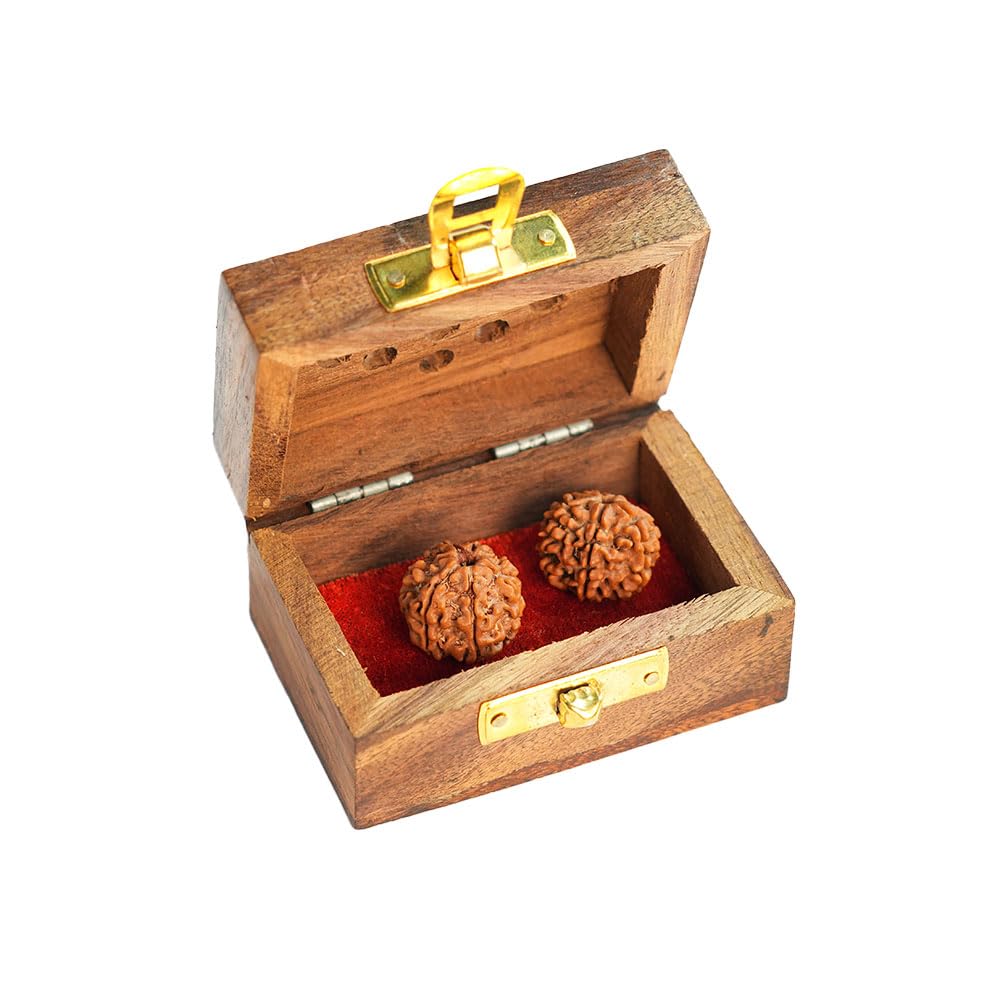 7 Mukhi Rudraksha | Cash Box | Original Nepal Rudraksha | Lab Certified Rudraksha | by Rudralife | Educating People About Rudraksha for Over 20 Years (B09Y5Y83KR) Amazon Price History, Amazon Price Tracker