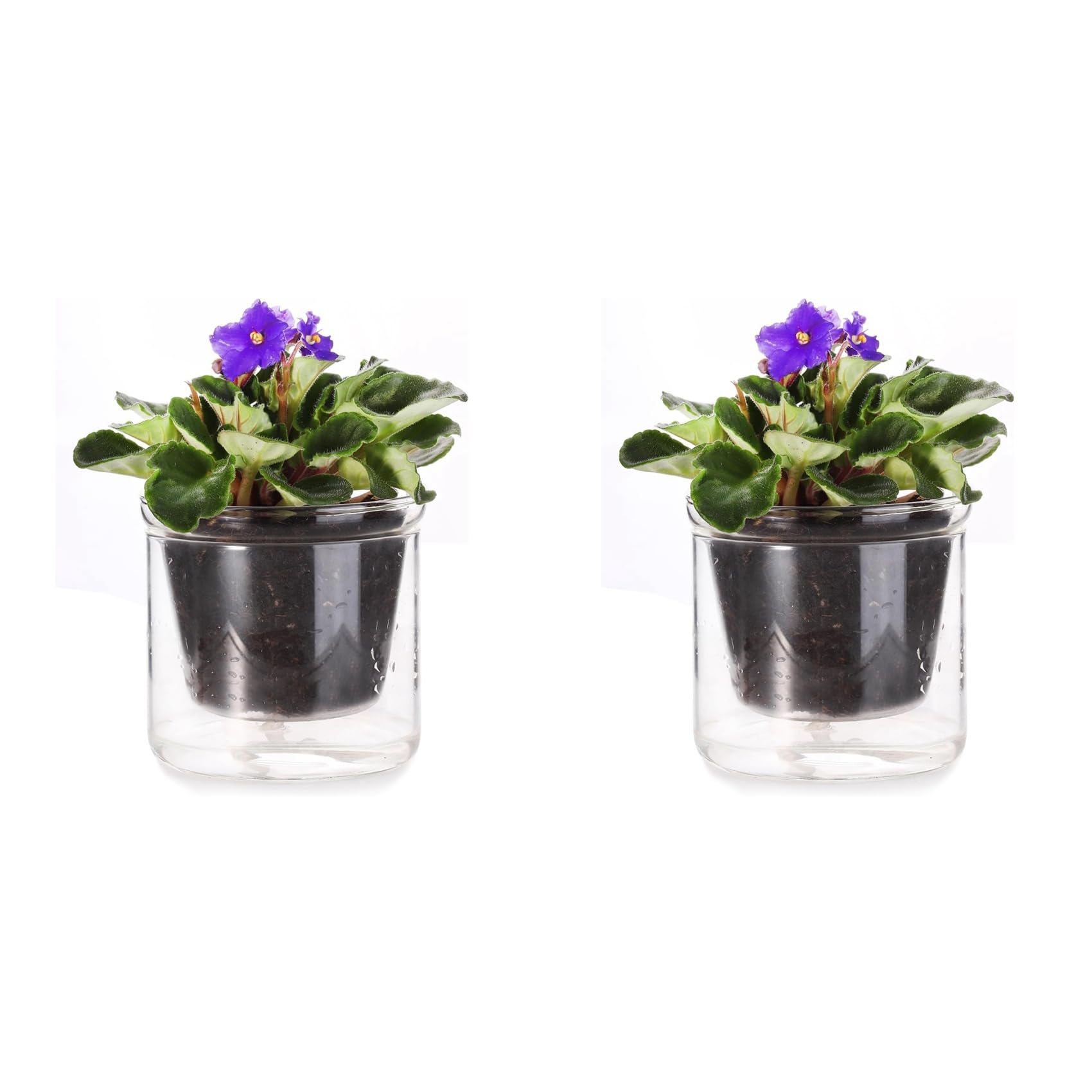 Hndhbfgrt 2pcs 4 Inch Self Watering Pot,African Violet Pot,Bottom Watering Glass Planter for Indoor Plants and Progagation