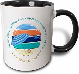 3dRose American beaches - Indiana Dunes National Park, Indiana travel gift 11oz Two-Tone Black Mug