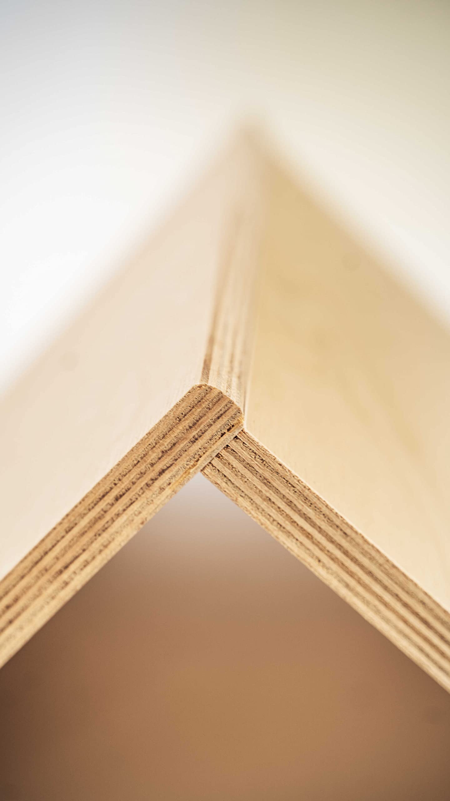 Ricco - Hundehütte aus Holz mit Matratze - Hundehaus Indoor - für kleine und mittelgroße Hunde - Rustikale Hundehütte aus Holz - Naturholz