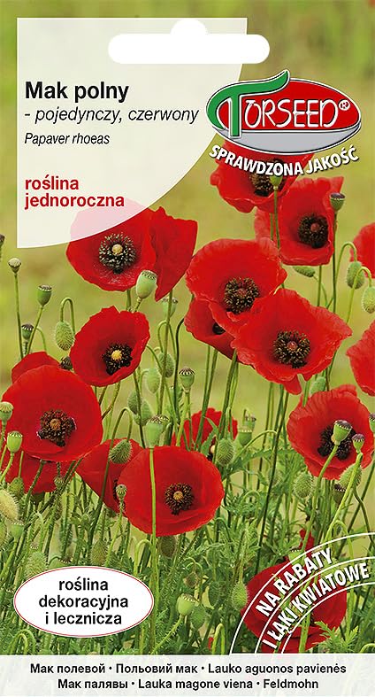 Verdica Semillas de papaver rhoeas de amapola roja, flores vivas, medicinales, fáciles de cultivar, anuales, siembra primavera y otoño, ideal para jardines cercanos a la naturaleza (0,5 gramos)