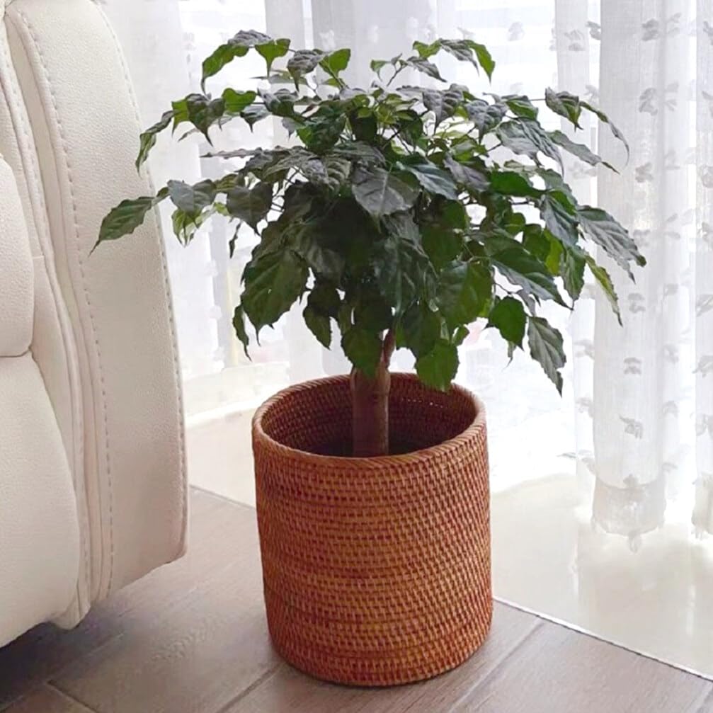 Simulated Rattan Basket Large Round Wicker Storage Basket for Home Organization