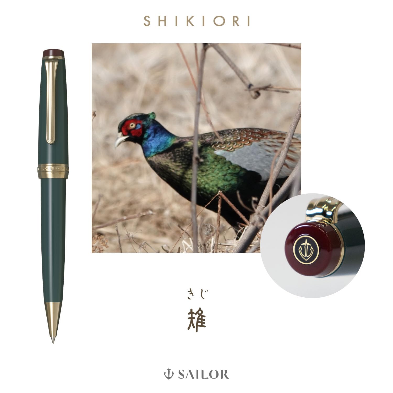 Amazon | セーラー万年筆 SHIKIORI ―四季織― 野山の唄 ボールペン 雉