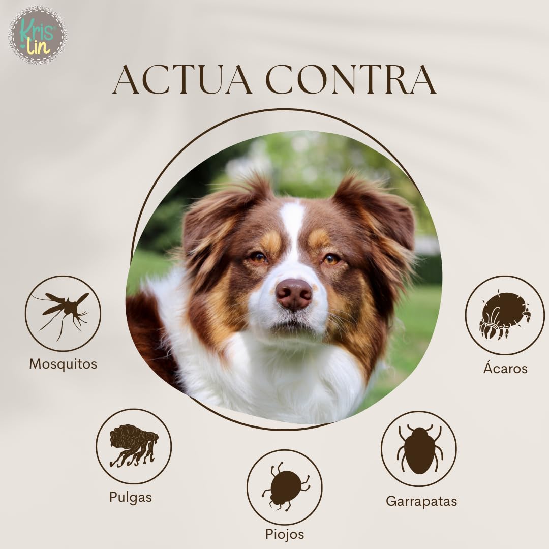 Pack de 8 Collares antiparasitarios para Perros con Margosa, geraniol y lavandino | Protección contra garapatas, Moscas, Mosquitos y flebótomos | Cítrico | Marrón | 57 cm