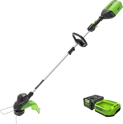 80V 13 in Cordless String Trimmer, 2.0 Ah Battery and Charger