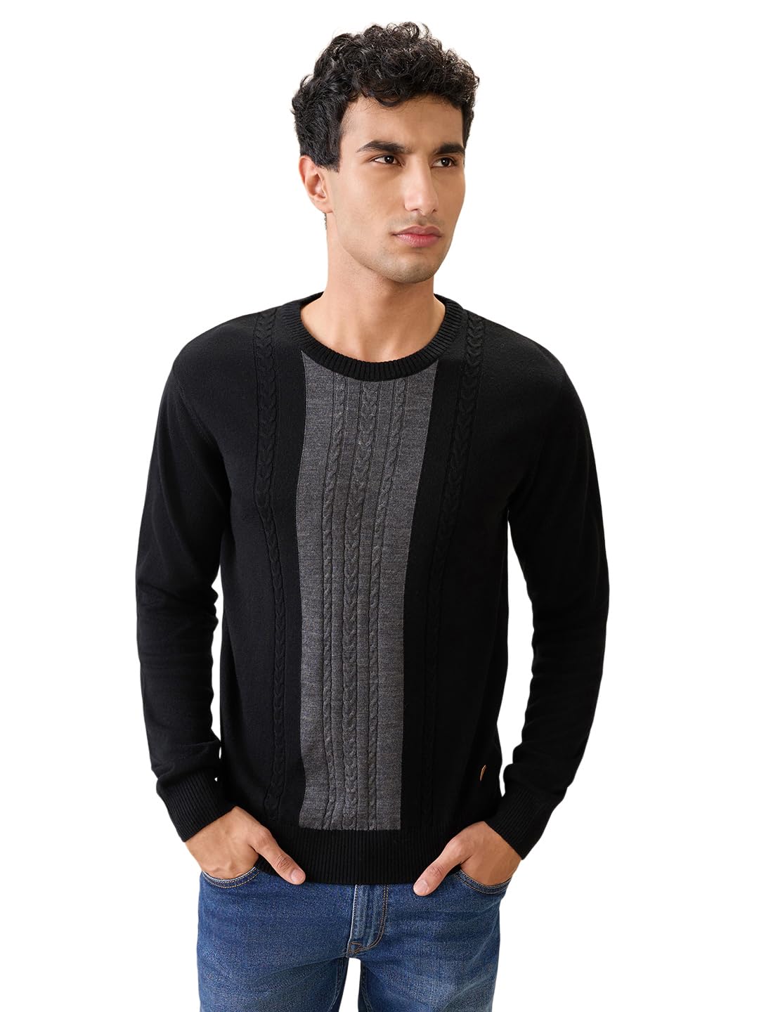 raymond Men Full Sleeve Regular Fit Structure Cable Pattern Acrylic Wool Blend Round Neck Round Neck Casual Sweater-picture-22