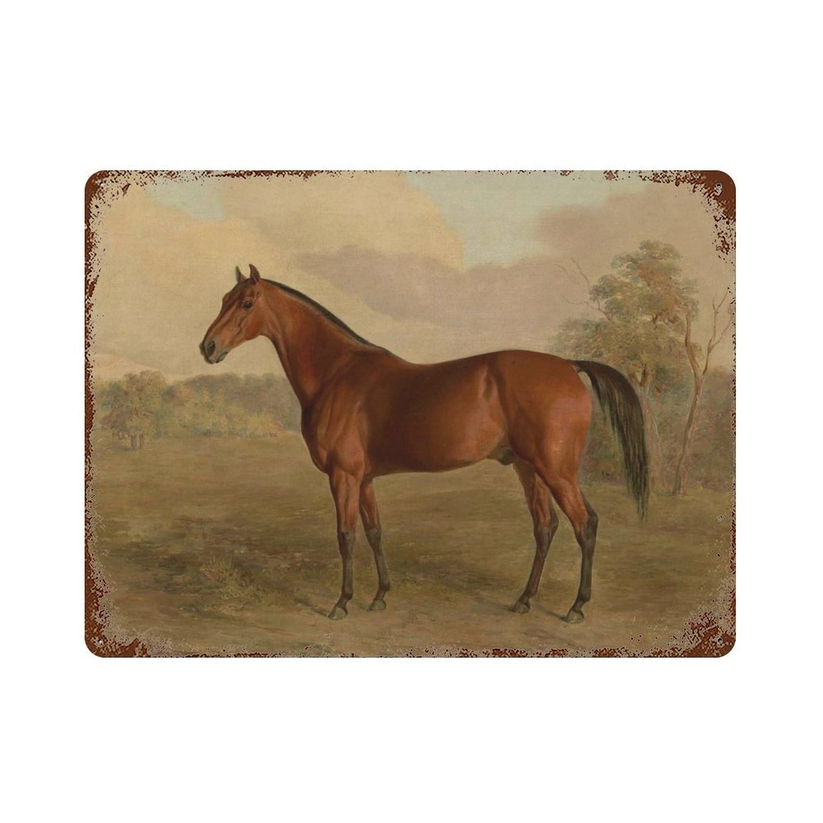 xiaoxiaoshen Vintage Horse Oil Paintings, Equestrian Farm Animals Wall Decor Art Metal Tin Poster Modern Home Decor Art Home Bar Shop Decorations Vintage Sign 30x40cm