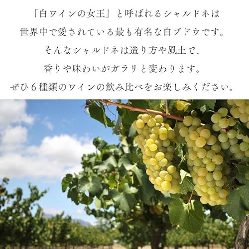 神田商店 シャルドネ 辛口白ワイン 6本セット
