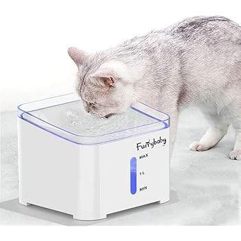 water drinking fountain for cats