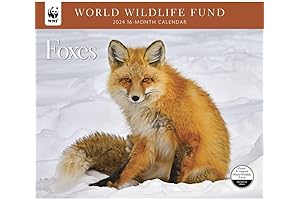 Spectacular 2024 WWF Foxes Deluxe Wall Calendar