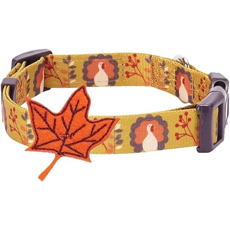 fall dog collars amazon