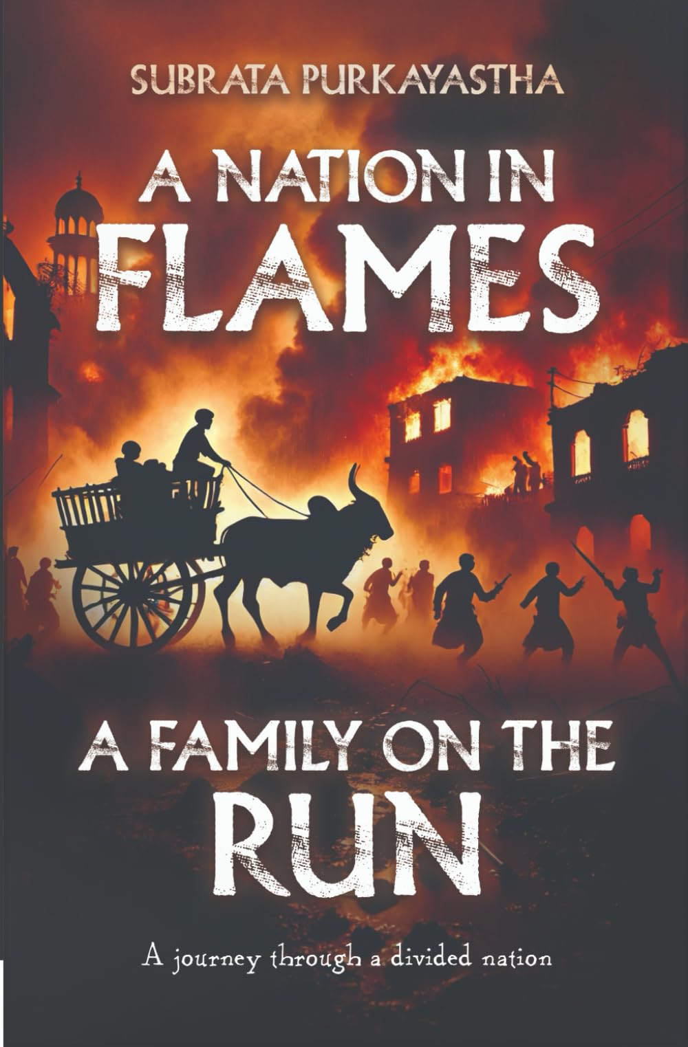 A Nation in Flames: A Family on the Run | A journey through a divided nation