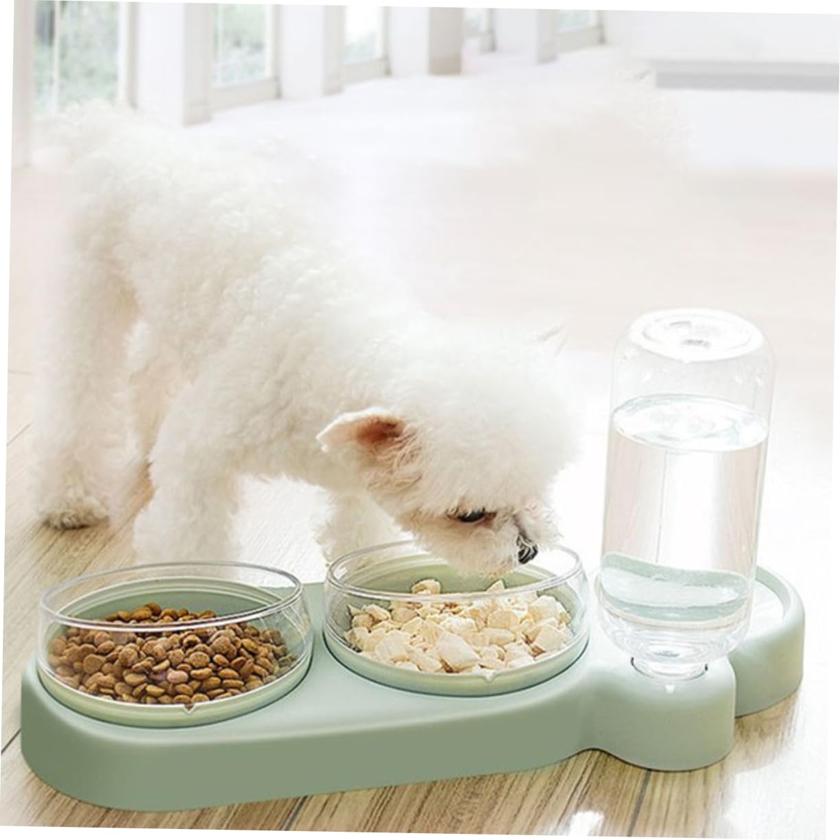 Gamelle Double Surélevée pour Chat, Inclinée, Anti-déversement, 1 Set | Plastique Vert Clair, Antirouille, Usage en Alimentation Animale, Format Pratique pour Chats