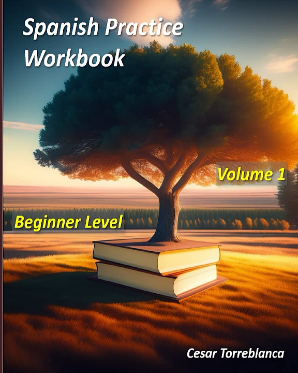 Spanish Practice Workbook: Volume 1 - Beginners Level (Spanish Practice Exercises)