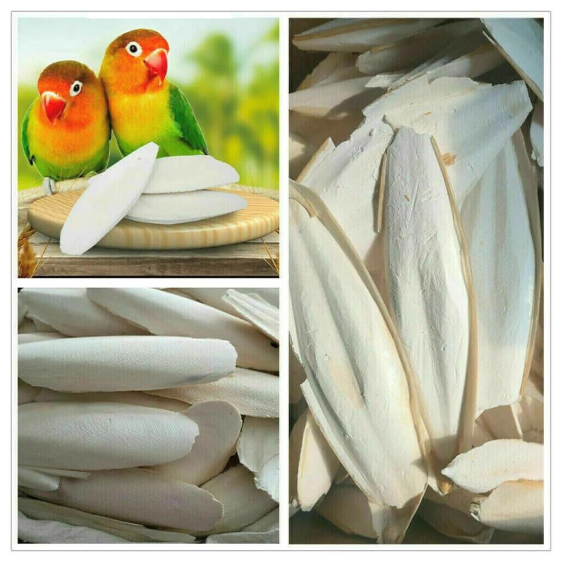 Cuttlefish Bone/Cuttlebone Bird Calcium for All Birds/Cuttlefish Bone for Birds/Bird Feed/High Calcium for Finches, Budgies, Conures, Lovebirds,pet Feeds(100g) White (B0C9J382TD) Amazon Price History, Amazon Price Tracker