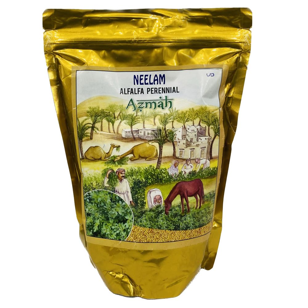 Neelam Organic Alfalfa Seeds Hedge Lucerne High Alfalfa Protein Grass Seeds for Cultivation | Made in India | Farmers choice | 1Kg