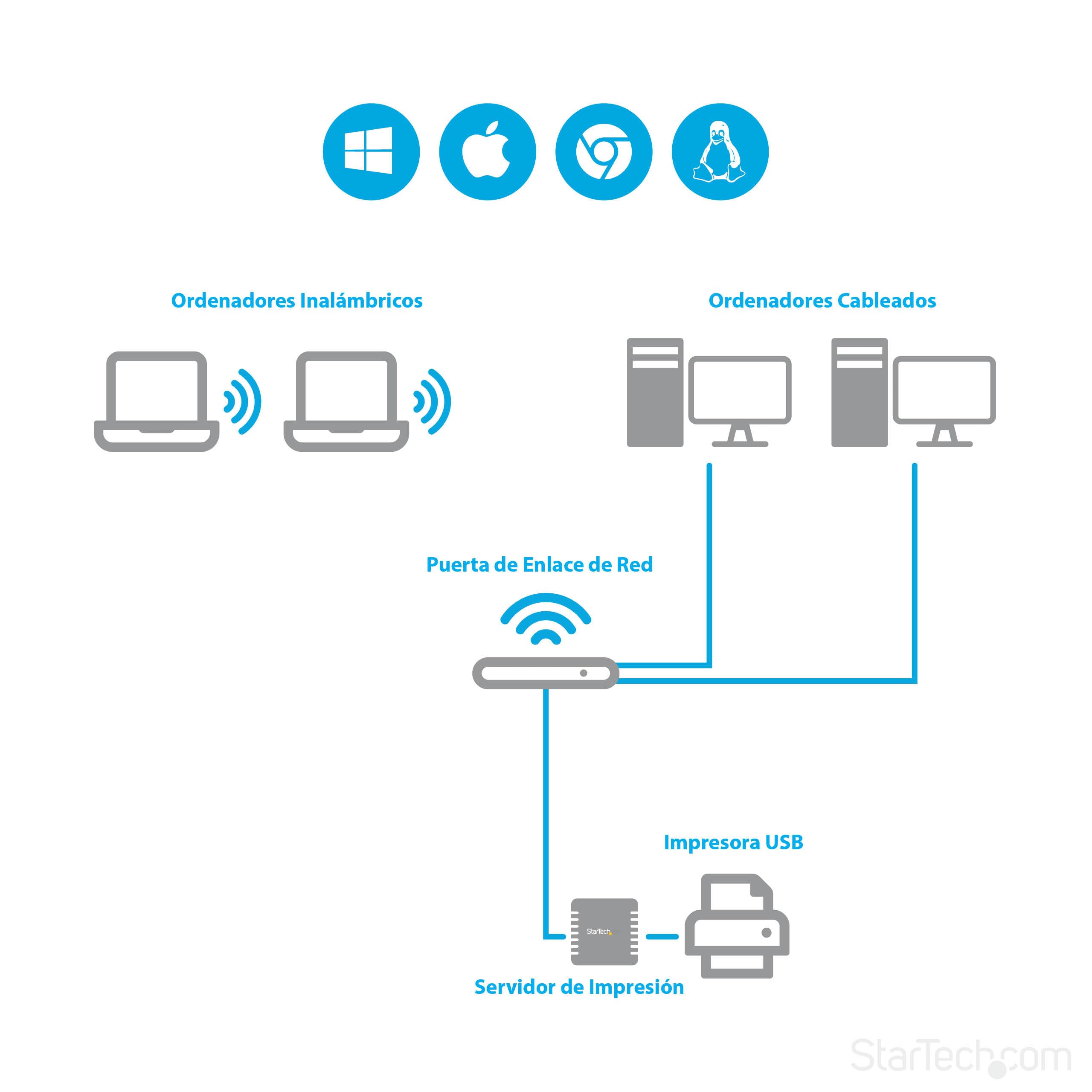 StarTech.com Servidor de Impresión en Red Ethernet 10/100 Mbps a USB 2.0 con LPR - Servidor de Impresión USB