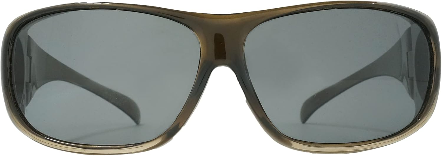 ALPINA Overview Cycling/Sports Glasses