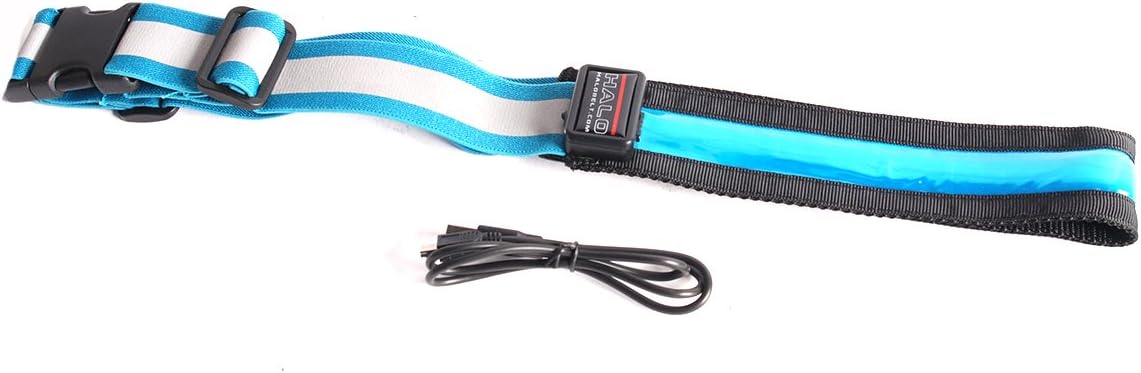LED Safety Belt Blue
