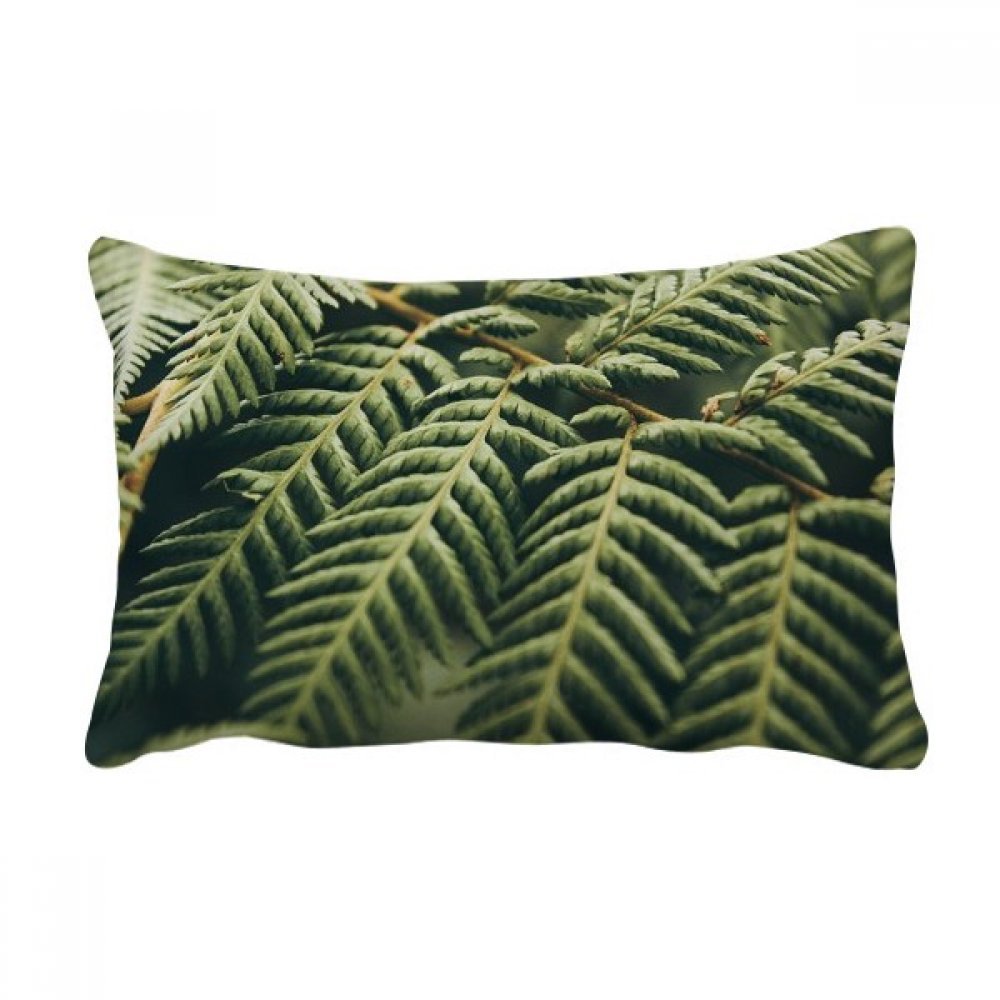 Coussin oreiller lombaire plantes nature, le cadeau de décoration idéal pour canapé