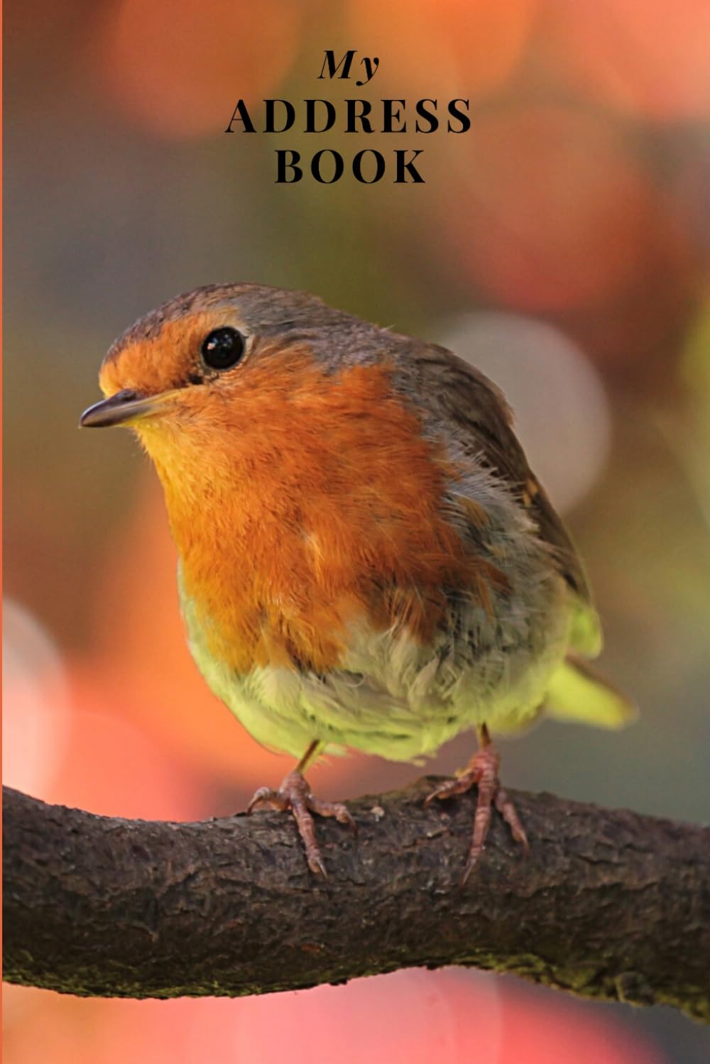 My Address Book: Robin | Address Book for Names, Addresses, Phone Numbers, E-mails and Birthdays