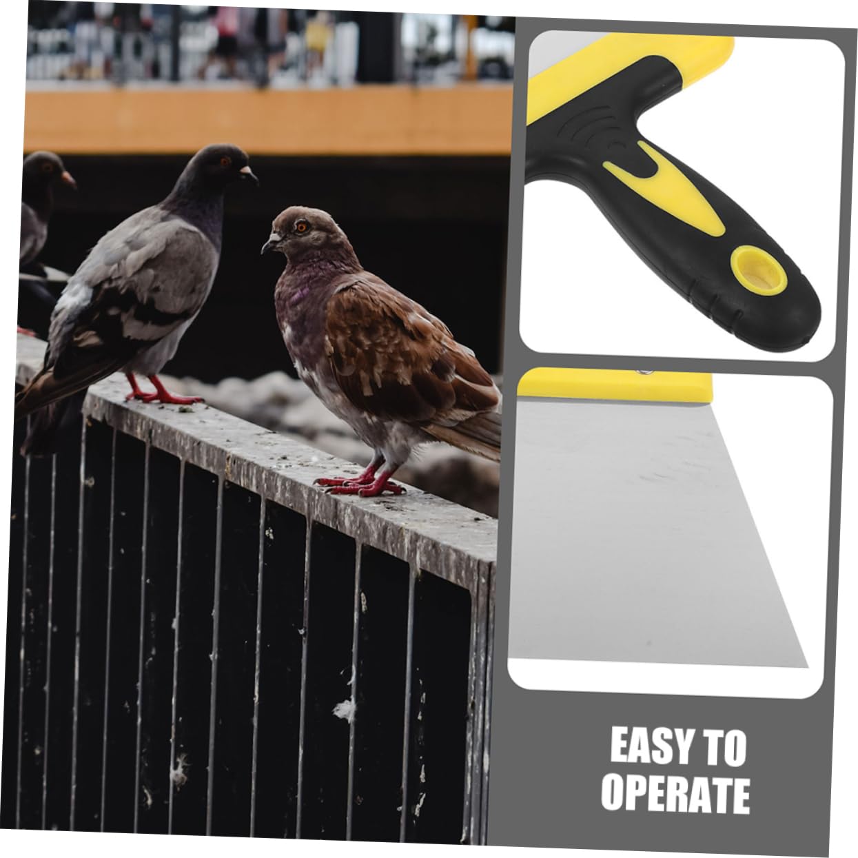 BESPORTBLE 10piezas Rascador De Excrementos De Pájaro De Acero Inoxidable Herramienta De Limpieza para Jaulas De Aves y Superficies Eficaz para Remover Excrementos De Aves