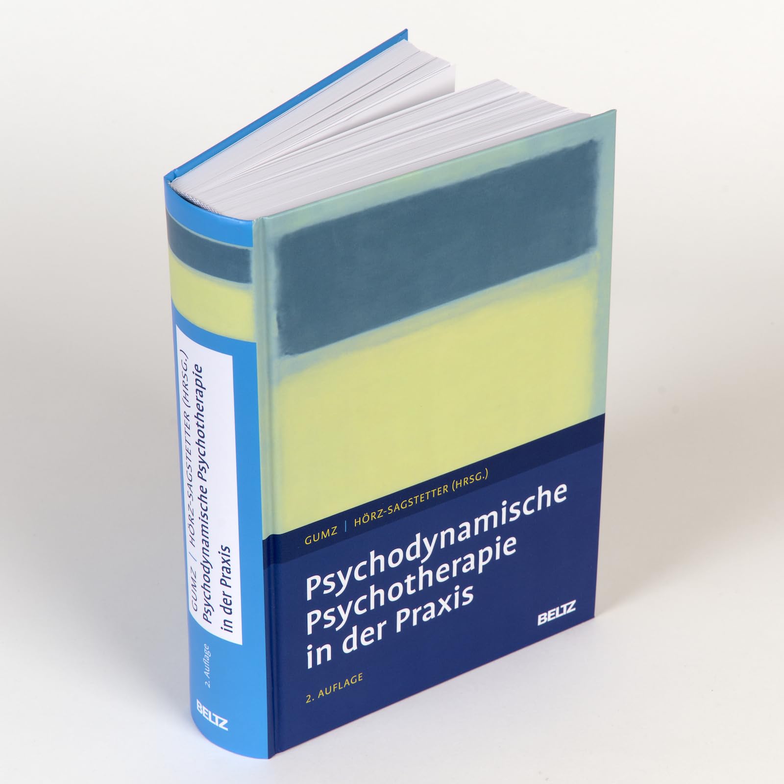 Psychodynamische Psychotherapie in der Praxis