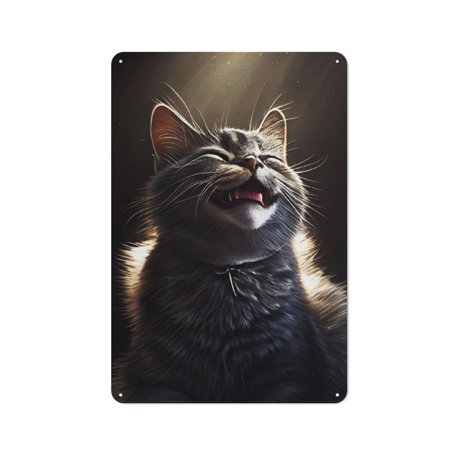 Junmoney Meme Cat Tin Wall Plaque 30X20cm With For Hallway Wall, Suited To Wall Displays In Hallways And Entrance Areas