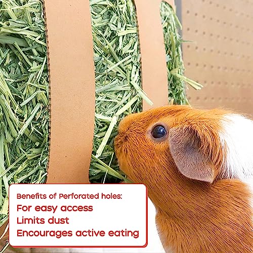 GuineaDad Orchard Hay Box – 3 Pack Guinea Pig Food – Cage-Mounted Feeding System – Orchard Hay for Guinea Pigs, Rabbits & Small Animals – 100% Recyclable & Biodegradable - Image 4