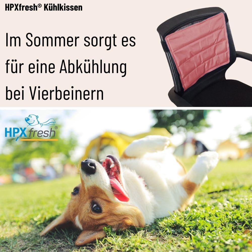 Kühlkissen Für Hunde & Katzen – 60cm Durchmesser, Mit Kühlgel, Keine Vorbereitung Nötig, Orange Frucht-Design