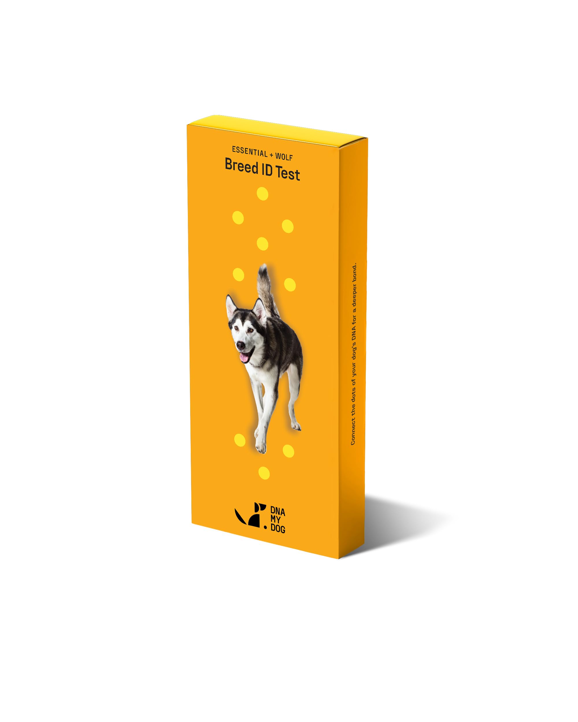 DNA My Dog Essential + Wolf Breed ID Test
