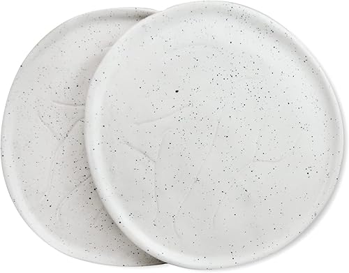 roro Platos de cerámica artesanales de cerámica con manchas blancas hechas a mano, 11 pulgadas, juego de 2 disponible en Yaxa Venezuela