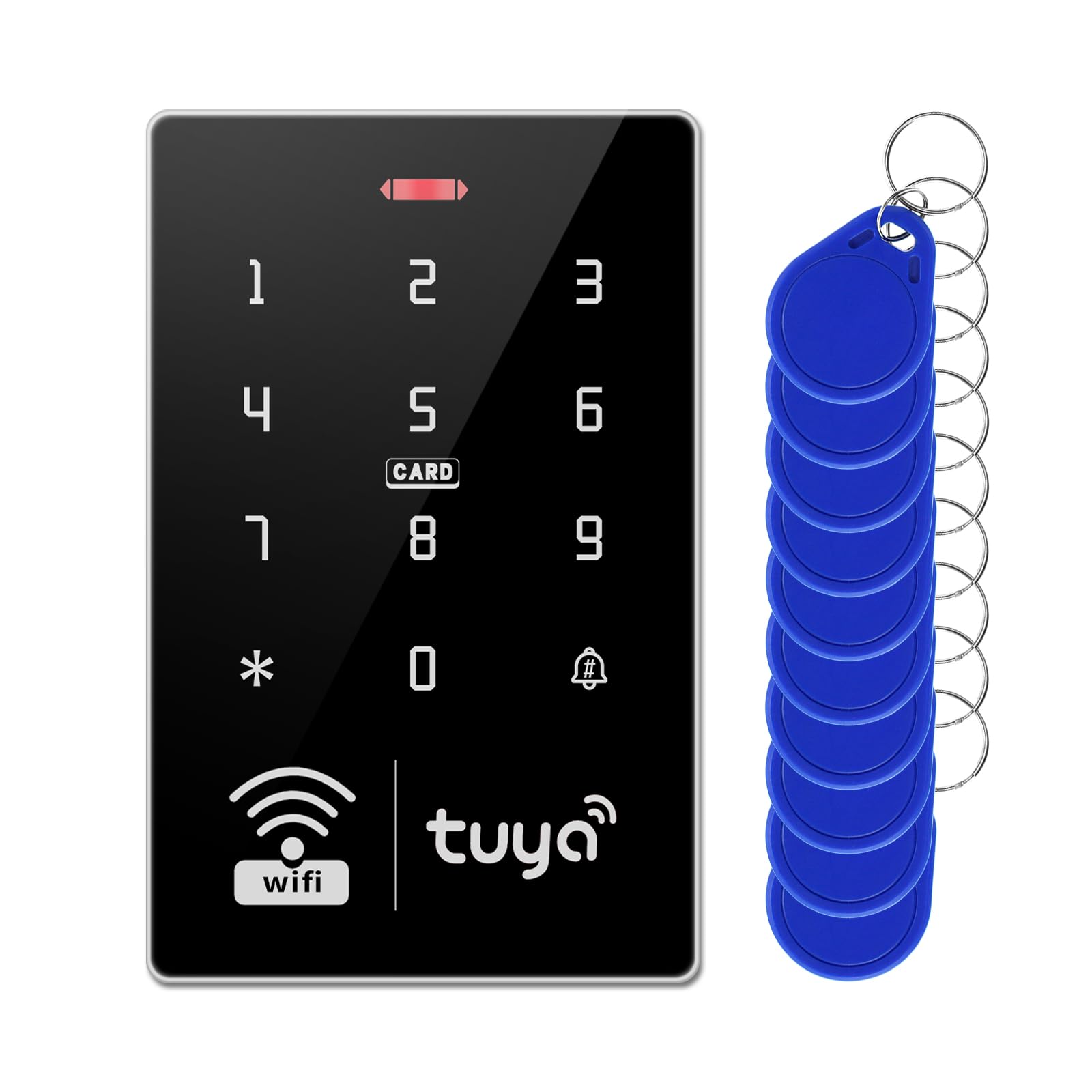 Panel de control de acceso WiFi S10 Tuya plateado + 10 tarjetas de acceso IC azules, IP68 impermeable, control de acceso completo de nivel básico y kit de seguridad.