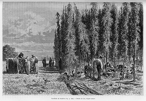 Poster Hops Picking par Frederic Theodore Lix toile sans cadre 58x90 cm