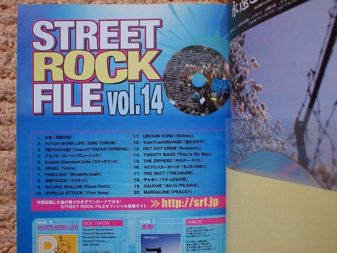 銀杏BOYZDOOR2007年オリジナルレコードとステッカー、クリアファイル Amazon.co.jp: 銀杏BOYZ DOOR ステッカー : おもちゃ