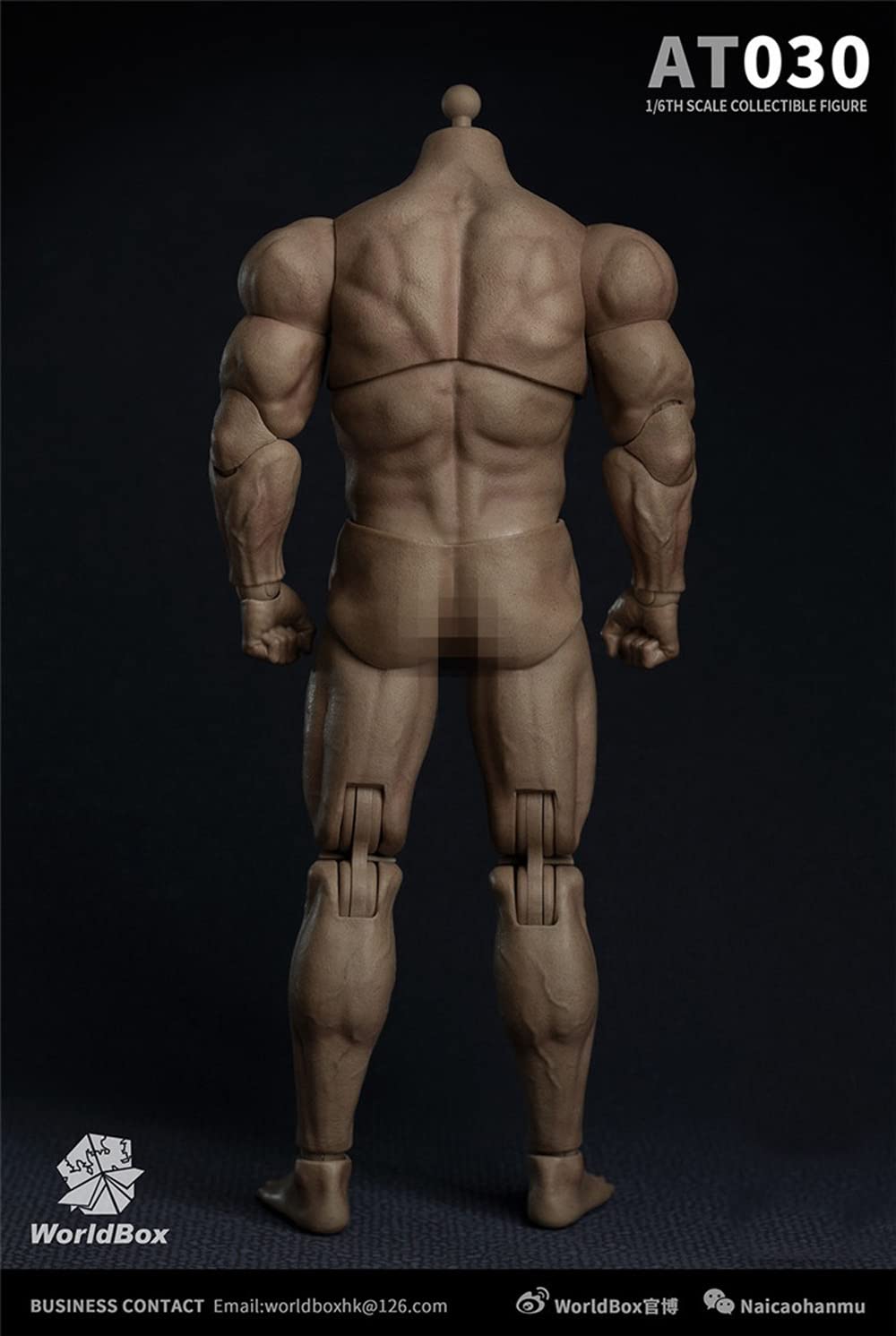 Amazon.com: i8 TOYS Tbleague Worldbox AT030 1/6 Scale Male