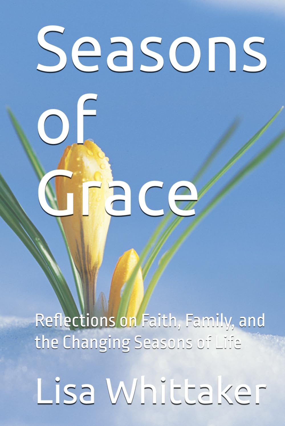 Seasons of Grace: Reflections on Faith, Family, and the Changing Seasons of Life