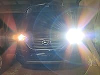 Review Image by Amanda Amanda