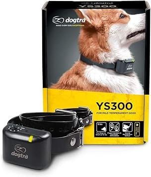 Dog training no barking Clearance