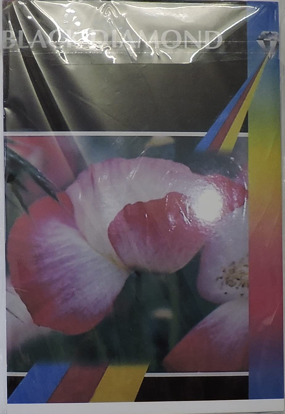 Black Diamond 1000 fogli 6 x 4R (100 mm x 150 mm), 240 g/m², carta fotografica lucida