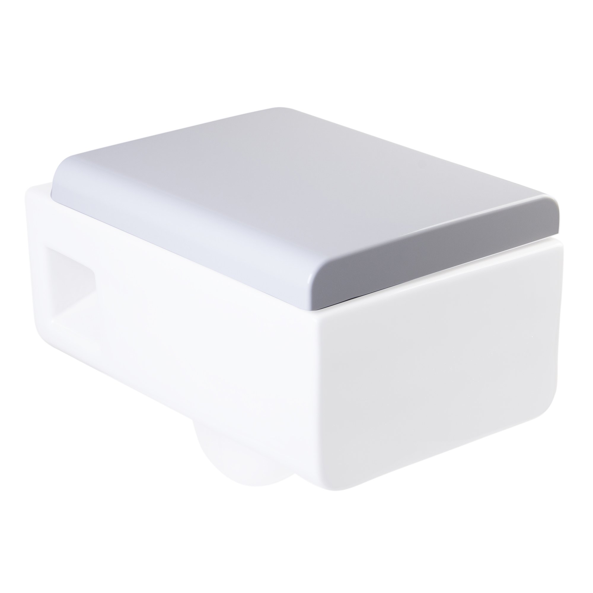 EAGO R-333SEAT Replacement Soft Closing Toilet Seat for WD333, White