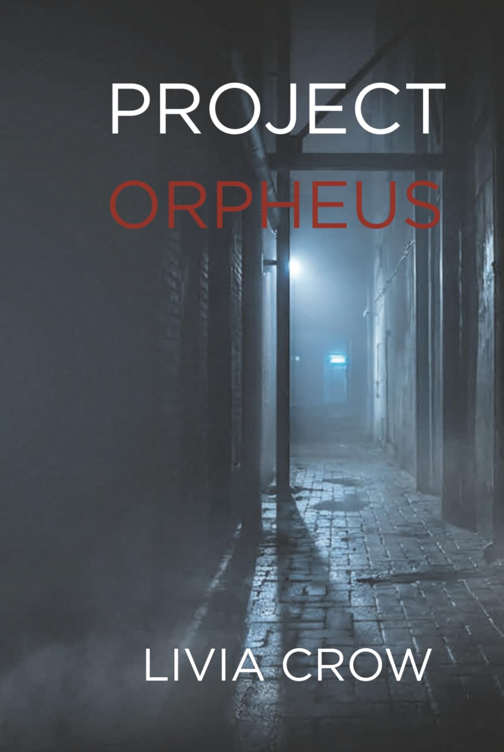 PROJECT ORPHEUS: The One Who Was Never Meant to Be Found — A Psychological Thriller