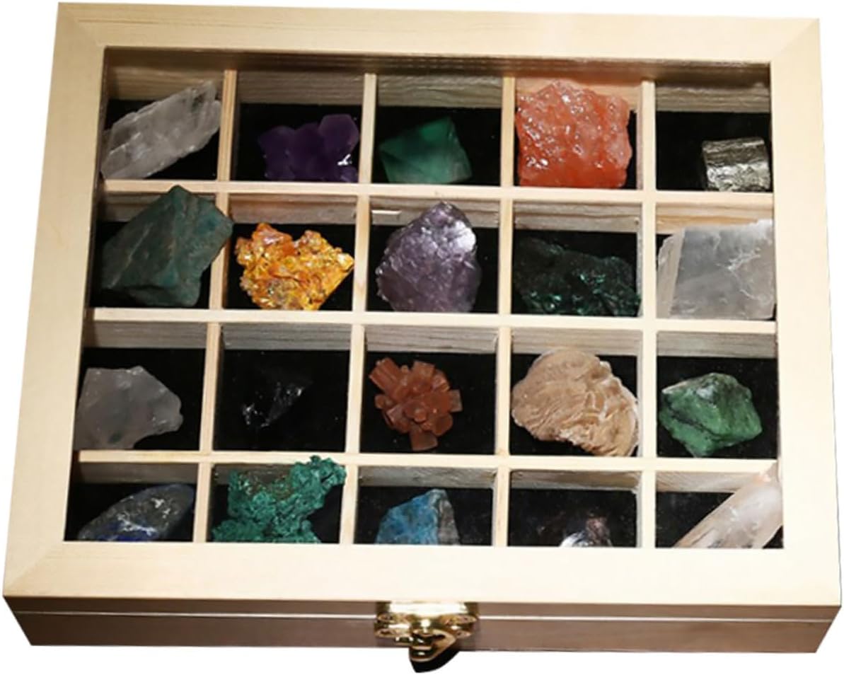 20pcs Natural Stones Collection Specimen Box Rocks and Crystals for Crafts